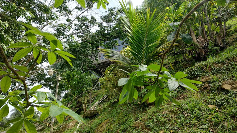 Cabins (Trinidad and Tobago, Paramin, La Finette)