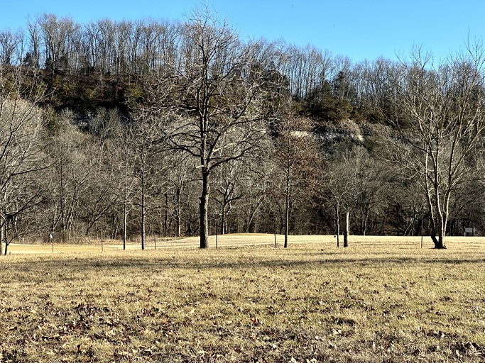 Domes (United States of America, Clever, Missouri)