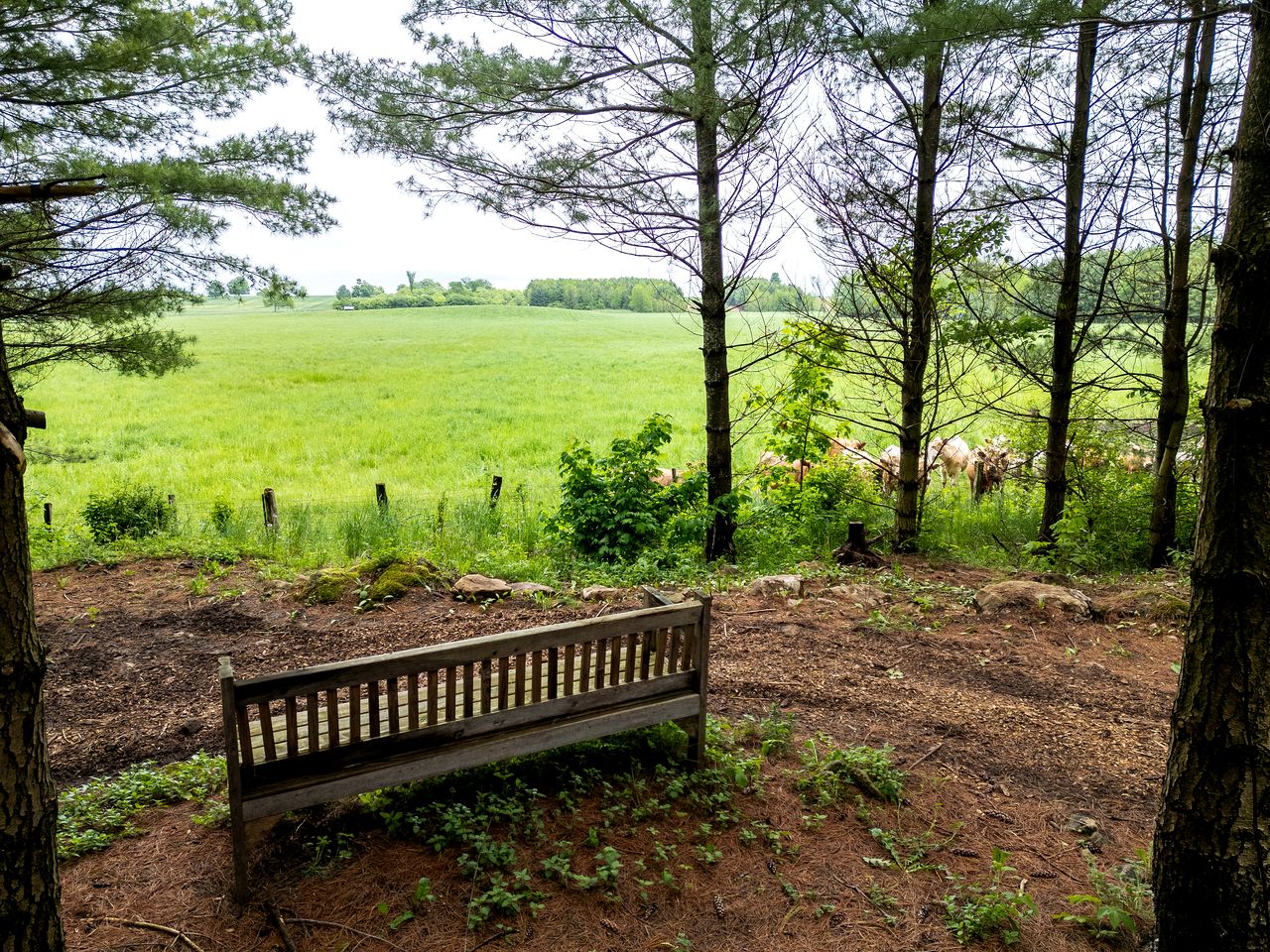Cozy Getaways in Canada, in this Charming Tiny House with Fire Pit in Ontario