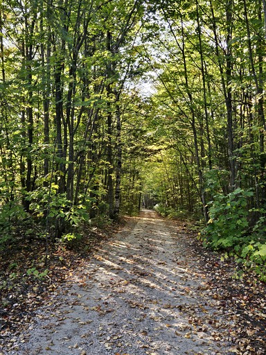 Cabins (Canada, South River, Ontario)