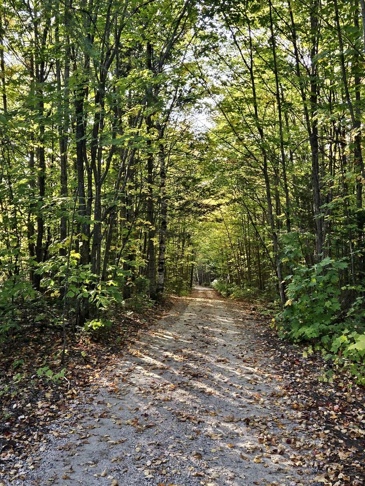 Eco-Friendly Off-Grid Cabins Nestled in the Forests of Northern Ontario, Perfect for a Rejuvenating Weekend in Nature