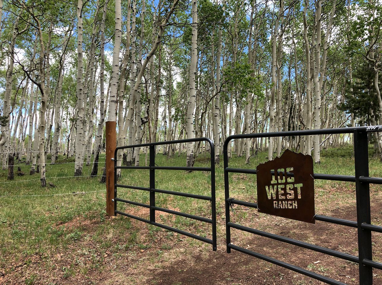 Majestic Mountain Majesty: Experience Colorado's Beauty from This Dome Paradise