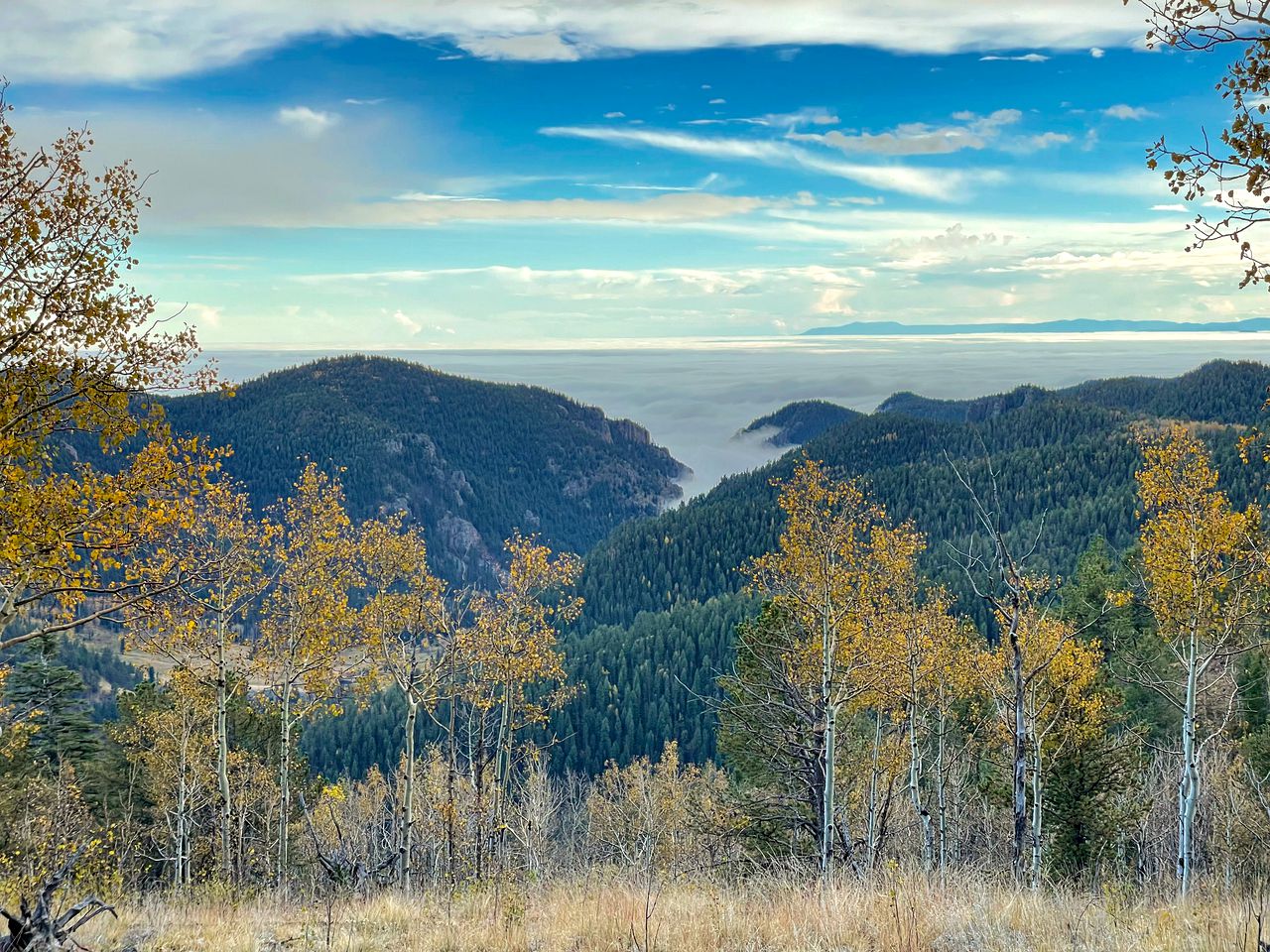 Majestic Mountain Majesty: Experience Colorado's Beauty from This Dome Paradise