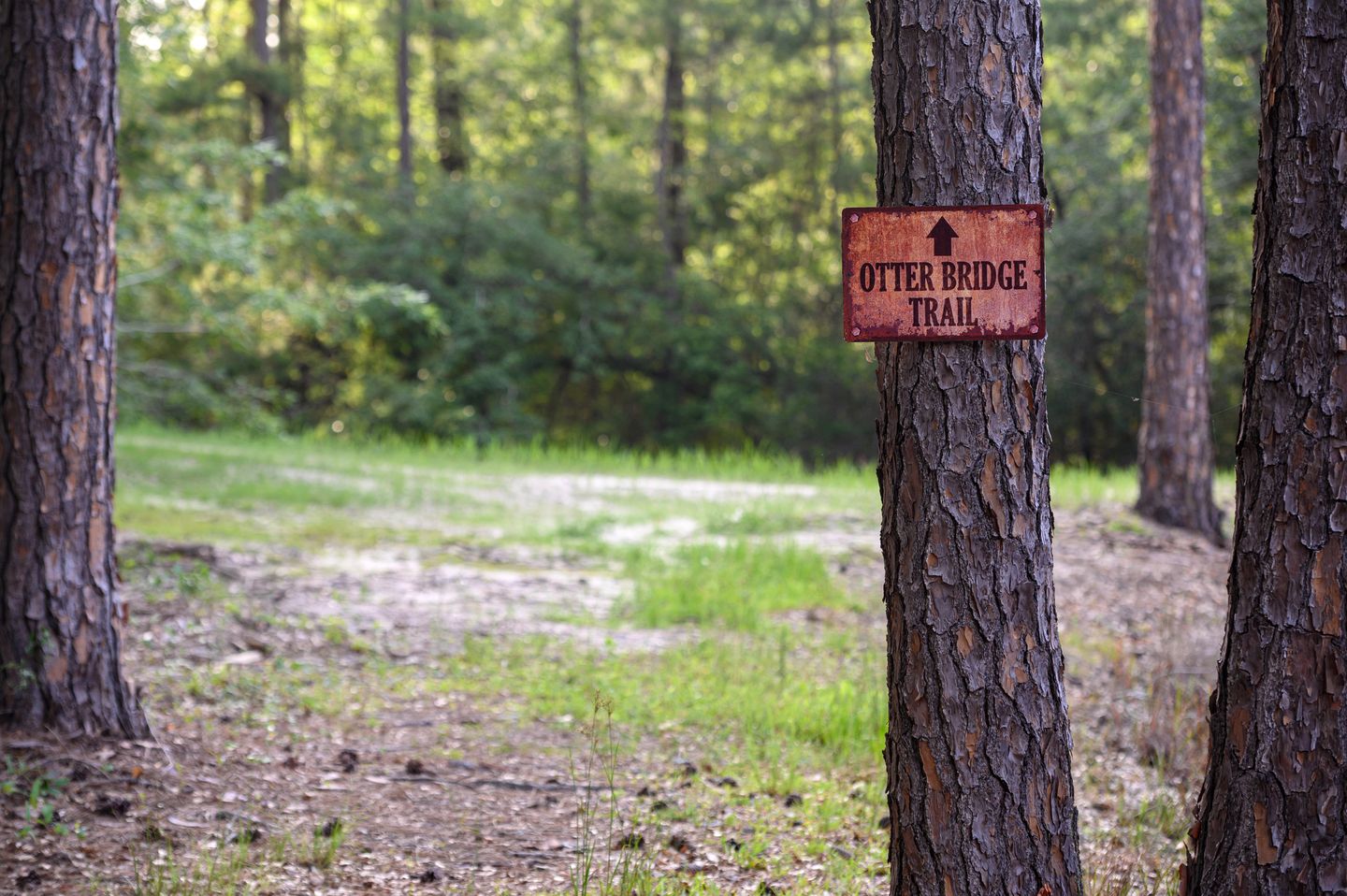 Perfect Couple's or Solo Getaway: 1840s Log Cabin, Claxton, GA