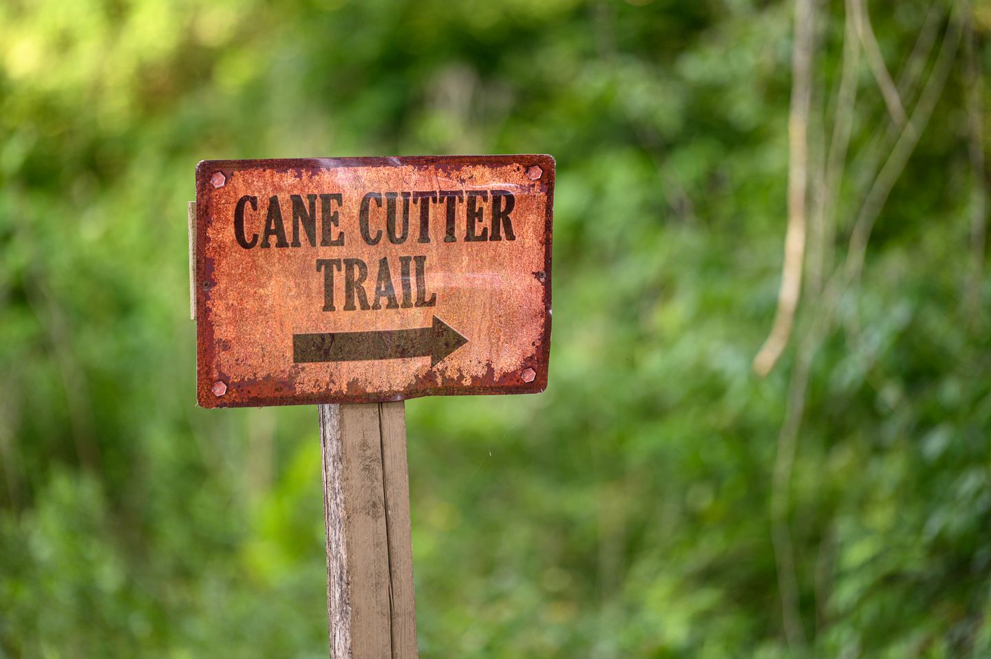 Perfect Couple's or Solo Getaway: 1840s Log Cabin, Claxton, GA