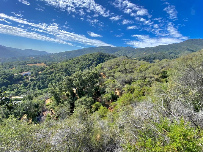 Cabins (United States of America, Topanga, California)