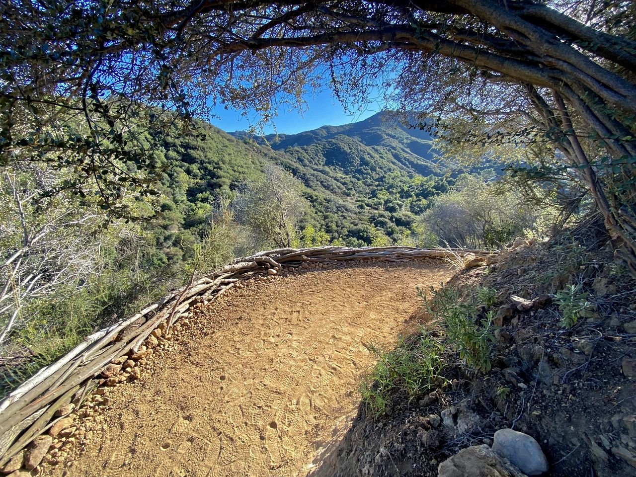 Charming Cabin Ideal for Hikers and Nature Lovers in Topanga, California