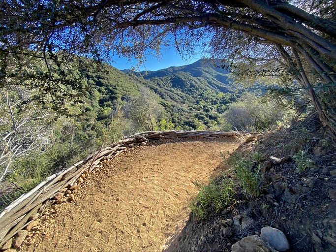 Cabins (United States of America, Topanga, California)