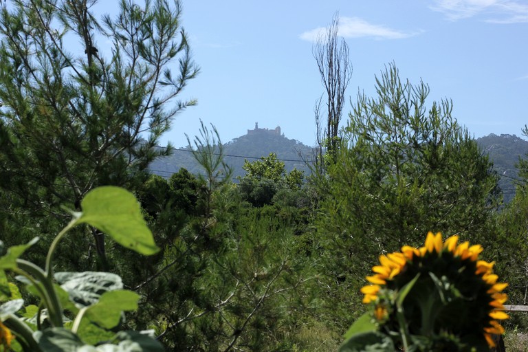 Safari Tents (Portugal, Sintra, Sintra)