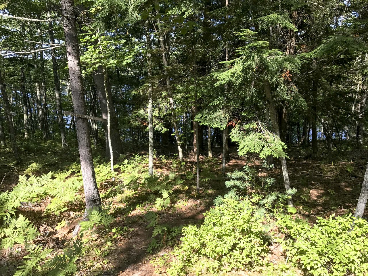 Lakefront Log Cabin Rental Overlooking the East Shore of Muscongus Pond