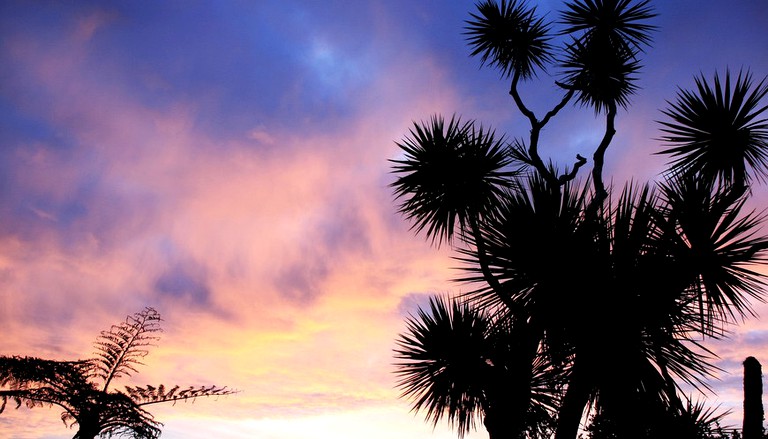 Cottages (Punakaiki, South Island, New Zealand)