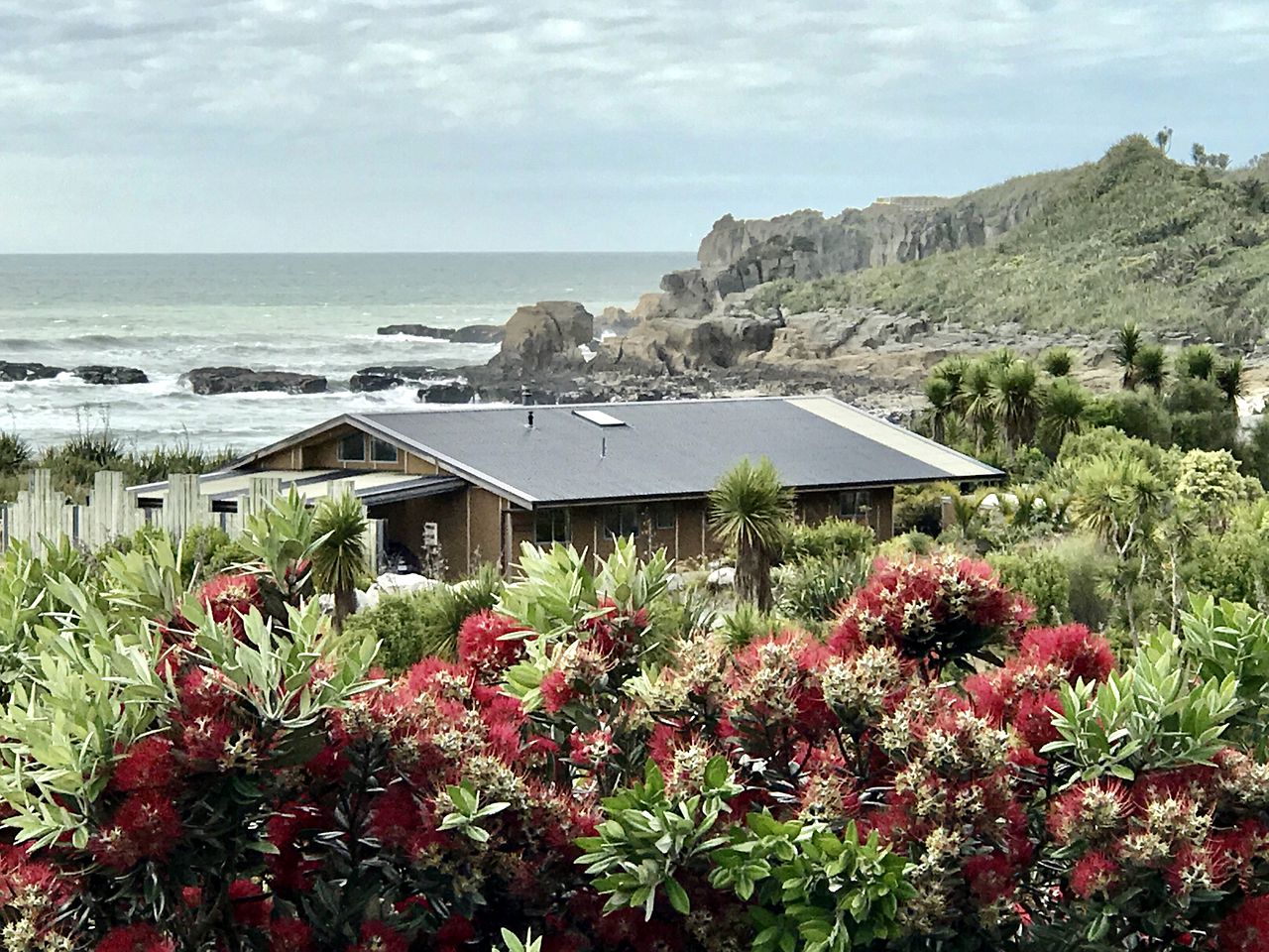 Spacious and Modern Beachfront Glamping Rental in Punakaiki, New Zealand