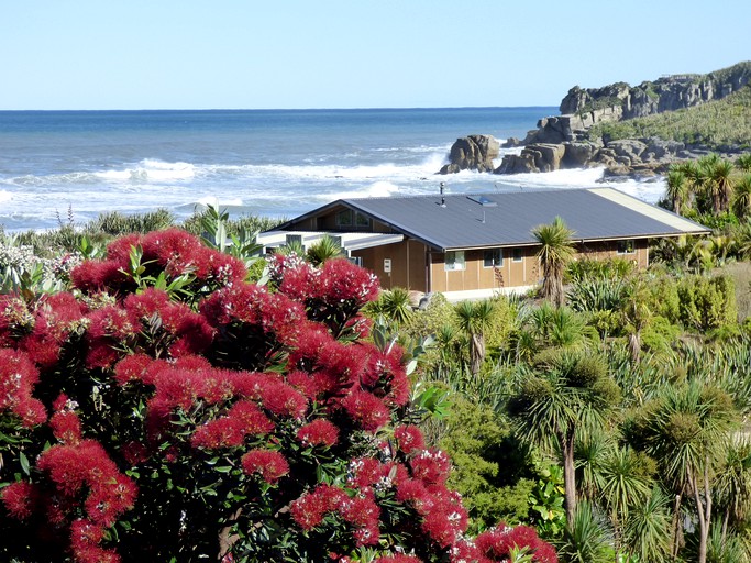 Cabins (Punakaiki, South Island, New Zealand)