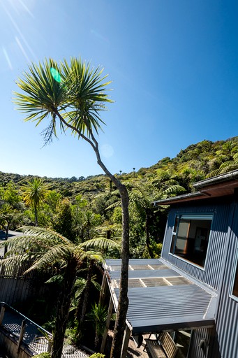 Cottages (Punakaiki, South Island, New Zealand)