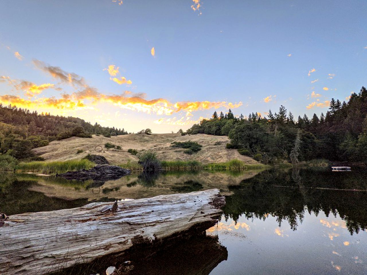 Cabin Camping Rental with Private Pond in Mendocino County, California