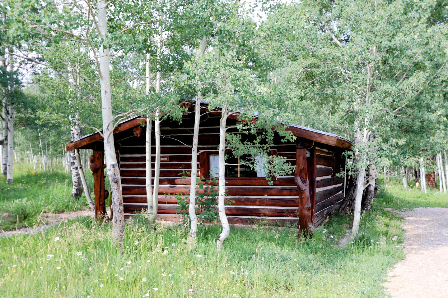 Family-Friendly Cabin Rental Hidden in Woods of North Central Colorado