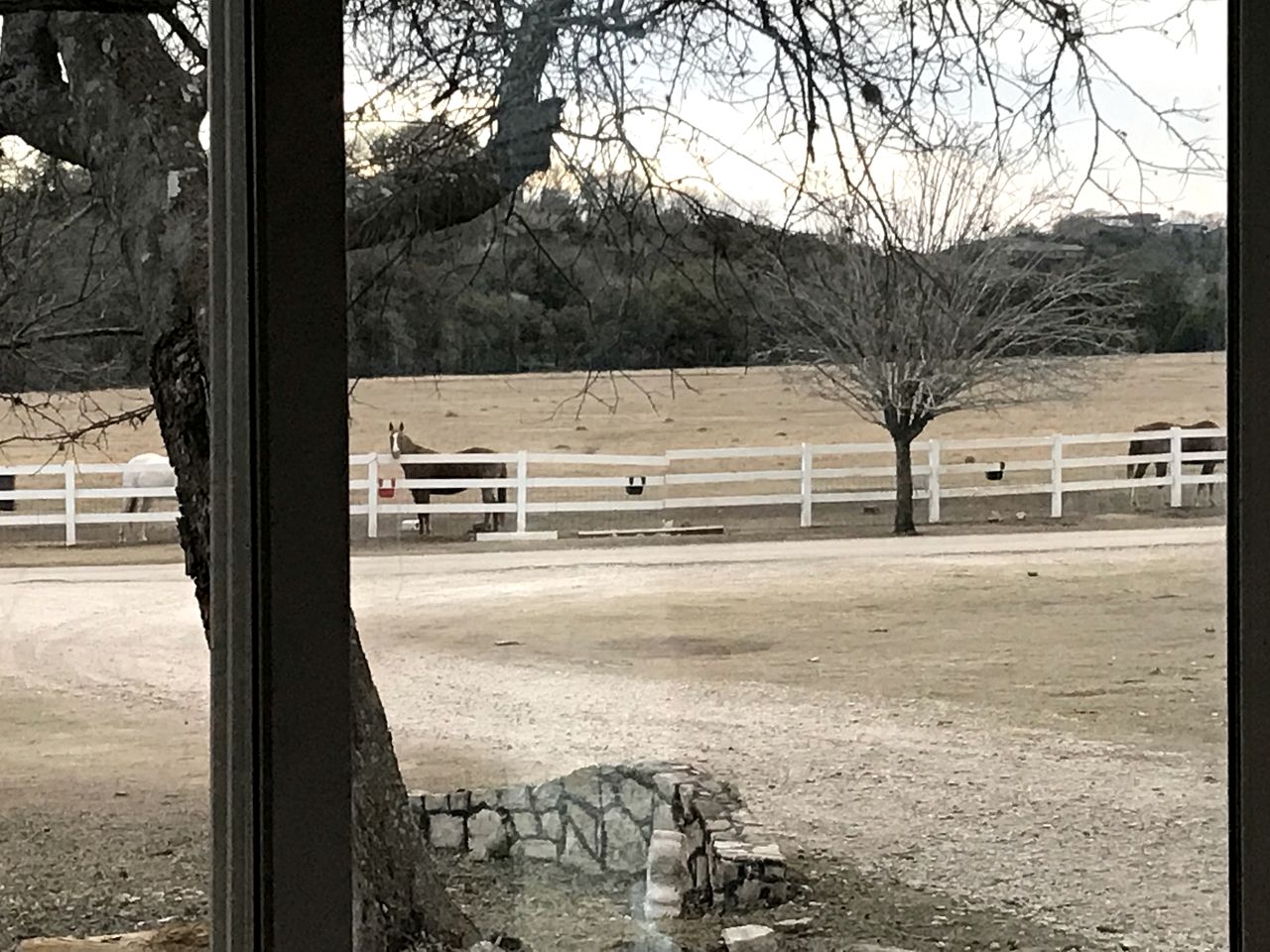 Authentic Barn Vacation Rental on a Horse Ranch near San Antonio