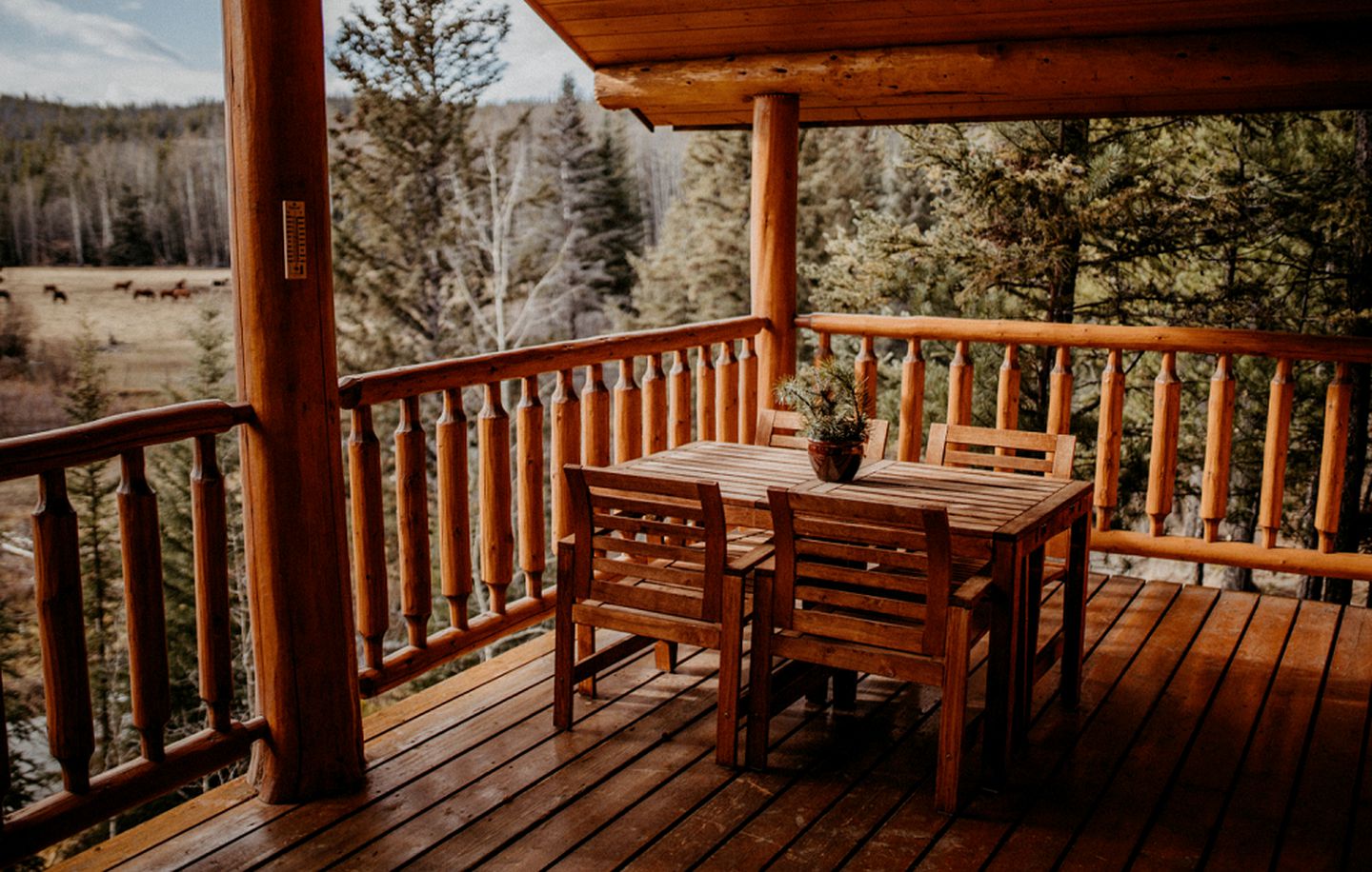 Charming Cabin Rental for Secluded Escape in Big Creek, British Columbia