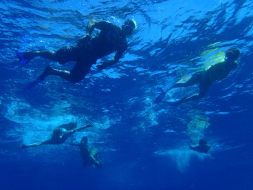 undefined photo 5