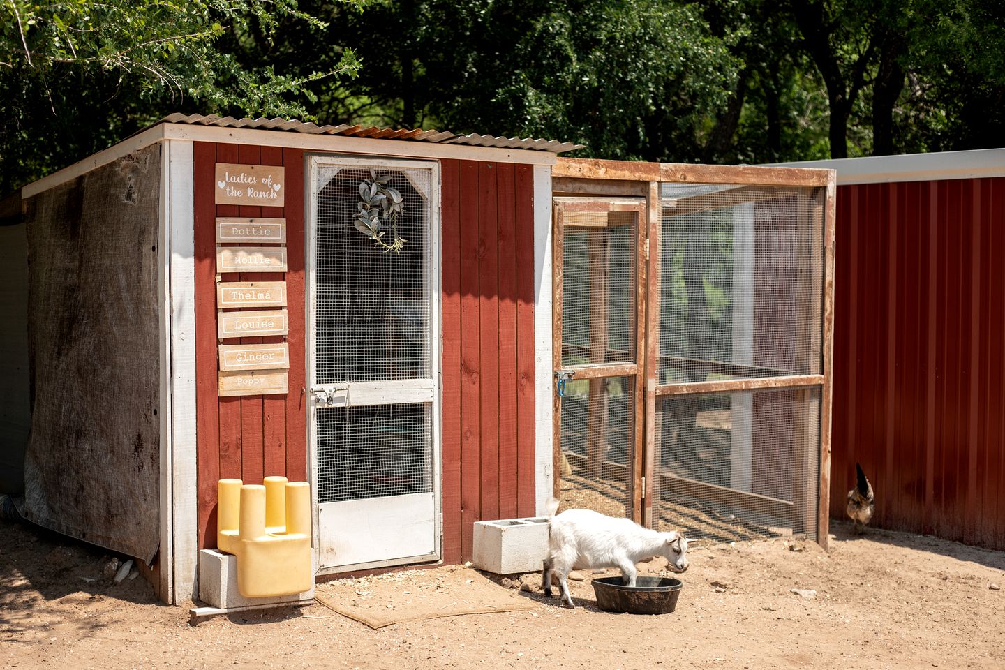 Spacious Cottage Rental for Group Getaway on Ranch near Dallas, Texas