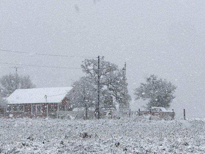 Vacation Rentals (Weatherford, Texas, United States of America)