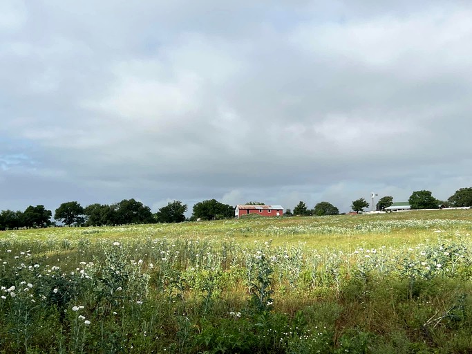 Vacation Rentals (United States of America, Weatherford, Texas)