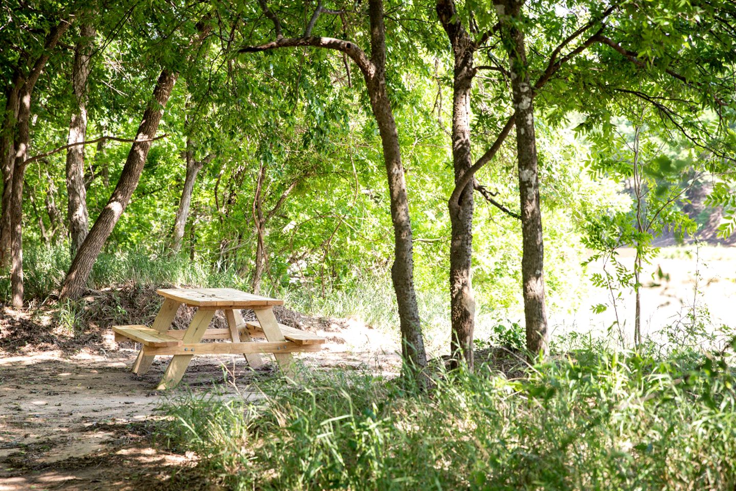 Spacious Cottage Rental for Group Getaway on Ranch near Dallas, Texas