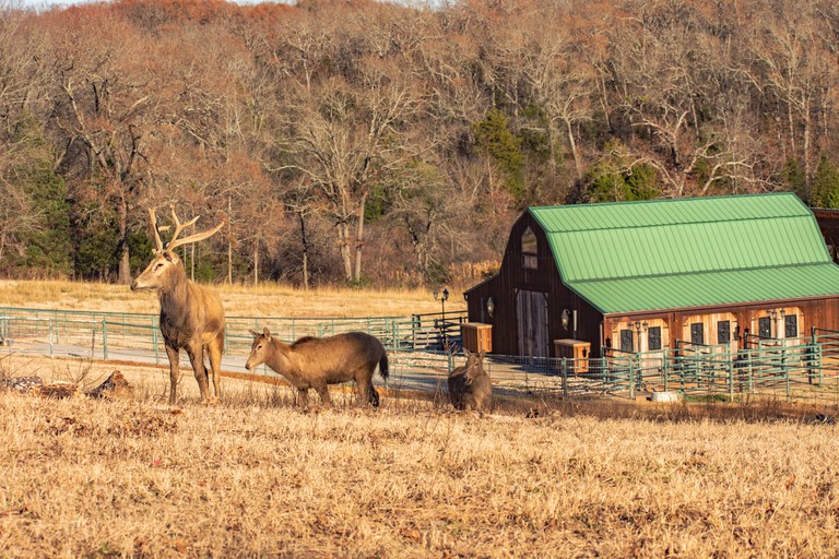 Cabins (United States of America, Eustace, Texas)