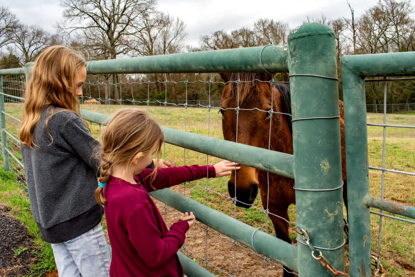 Cozy Lakeside Cabin Rental on 700-Acre Ranch near Dallas, Texas