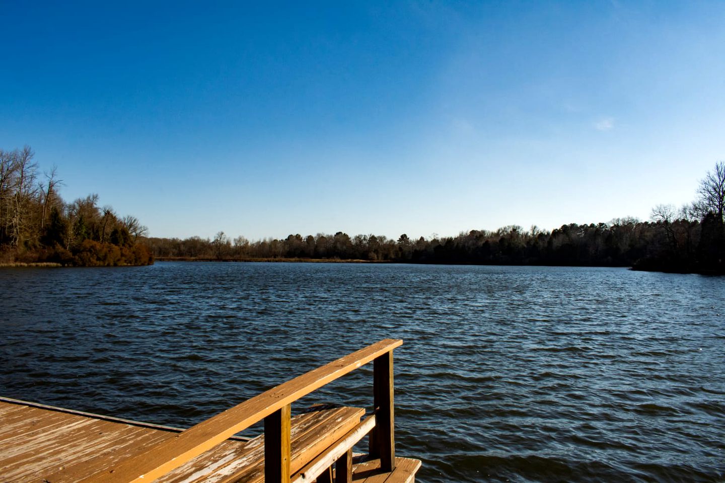 Cozy Lakeside Cabin Rental on 700-Acre Ranch near Dallas, Texas