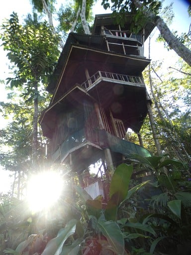 Help in the house and in the garden in Puerto Jimenez, Costa Rica