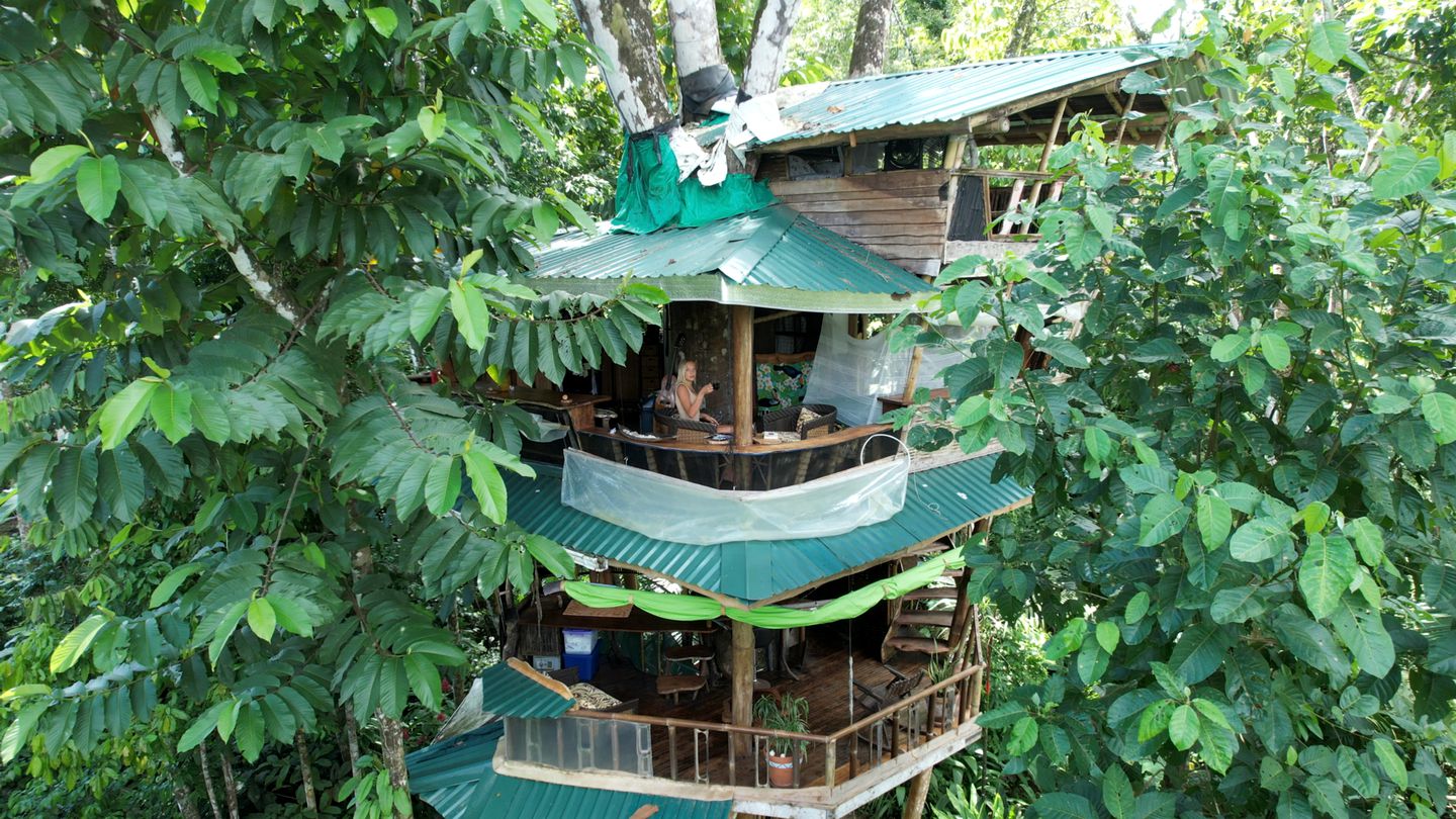 Incredible Tree House Rental amid Tropical Rainforest in Puerto Jiménez, Costa Rica