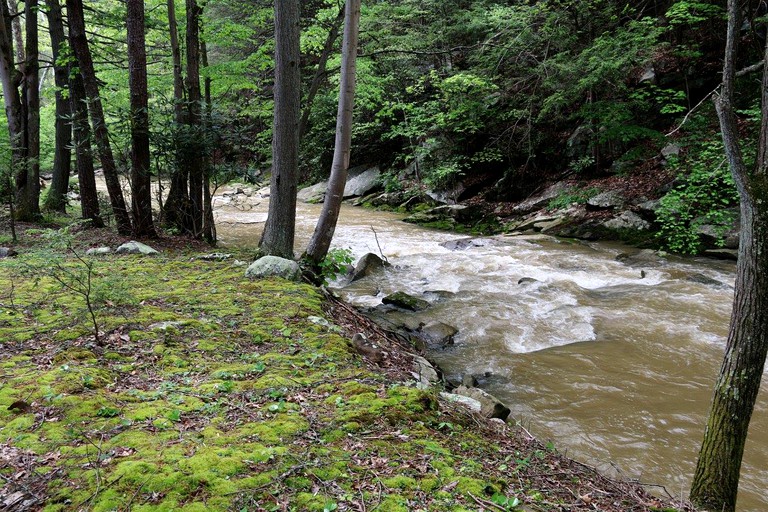 Cabins (Peterstown, West Virginia, United States)