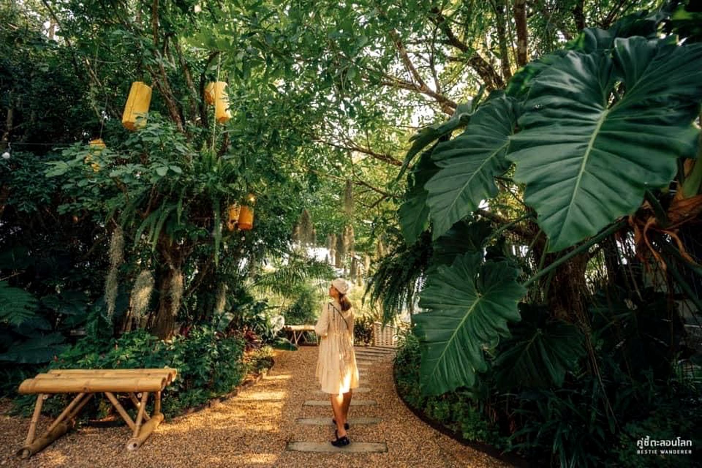 Secluded Luxury Tents with Stunning Jungle Views, Thailand