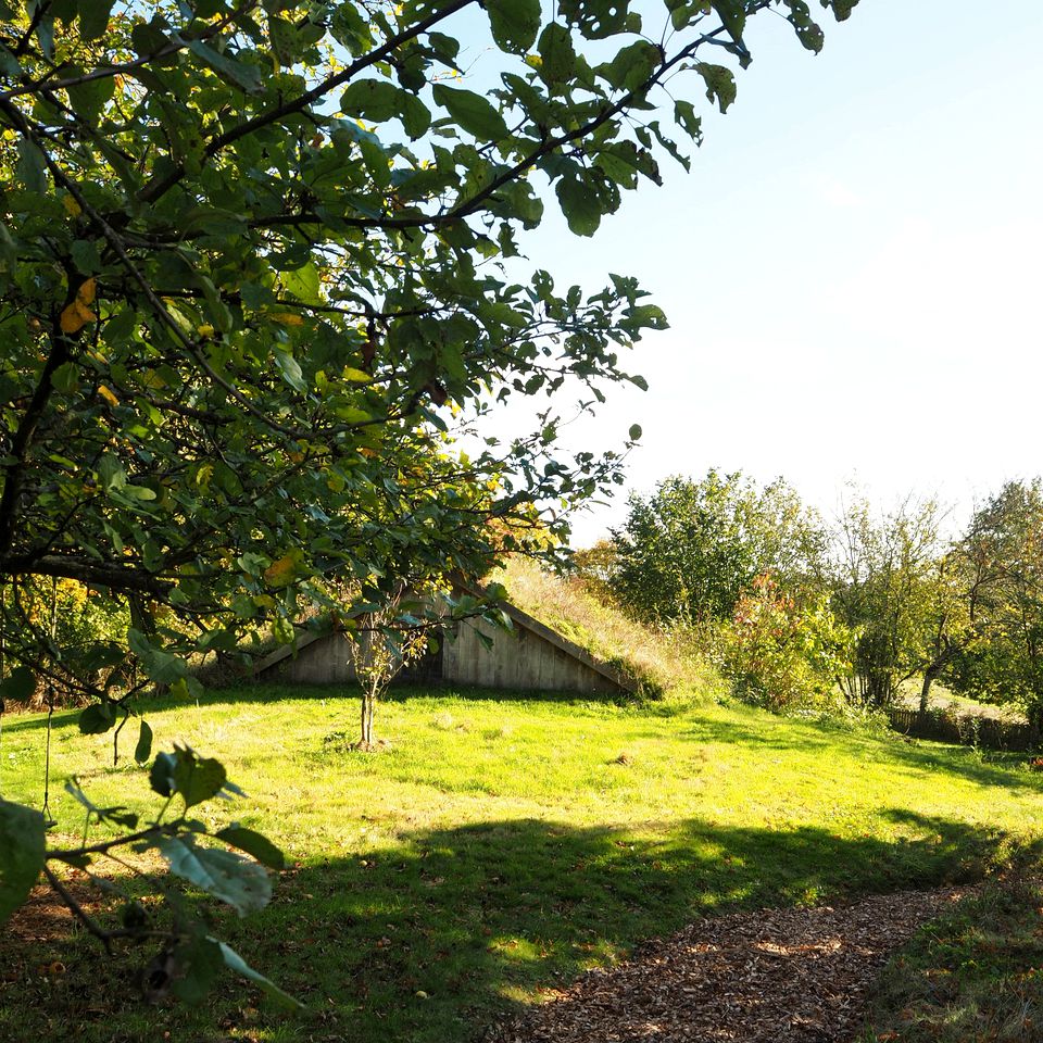 Eco-Cabin Surrounded by Gardens and Orchards in Brittany, France