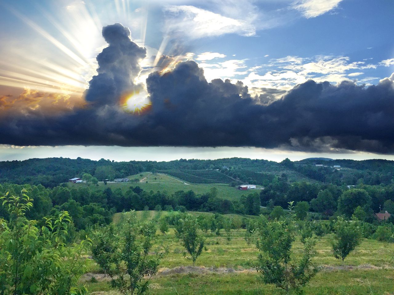 Peaceful Weekend Getaway Surrounded by Apple Orchards near Asheville, North Carolina