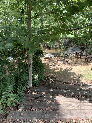 Cabins (United States of America, Bryson City, North Carolina)