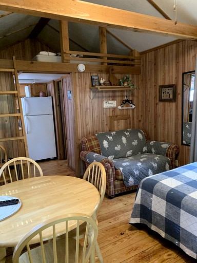 Cabins (United States of America, Bryson City, North Carolina)