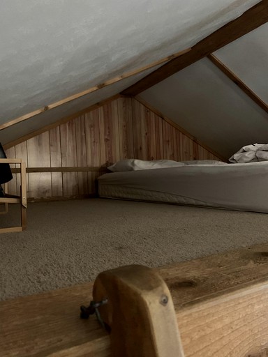 Cabins (United States of America, Bryson City, North Carolina)