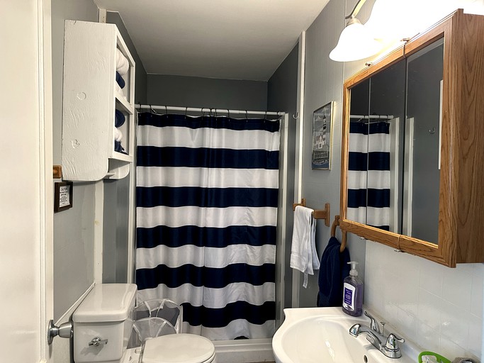 Cabins (United States of America, Gamaliel, Arkansas)