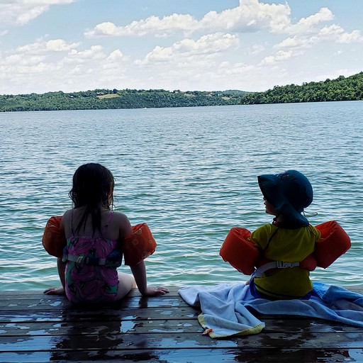 Cabins (United States of America, Gamaliel, Arkansas)