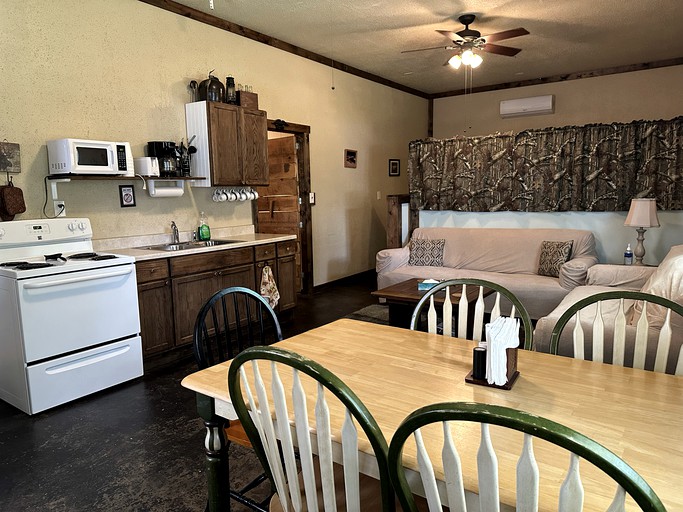 Cabins (United States of America, Gamaliel, Arkansas)