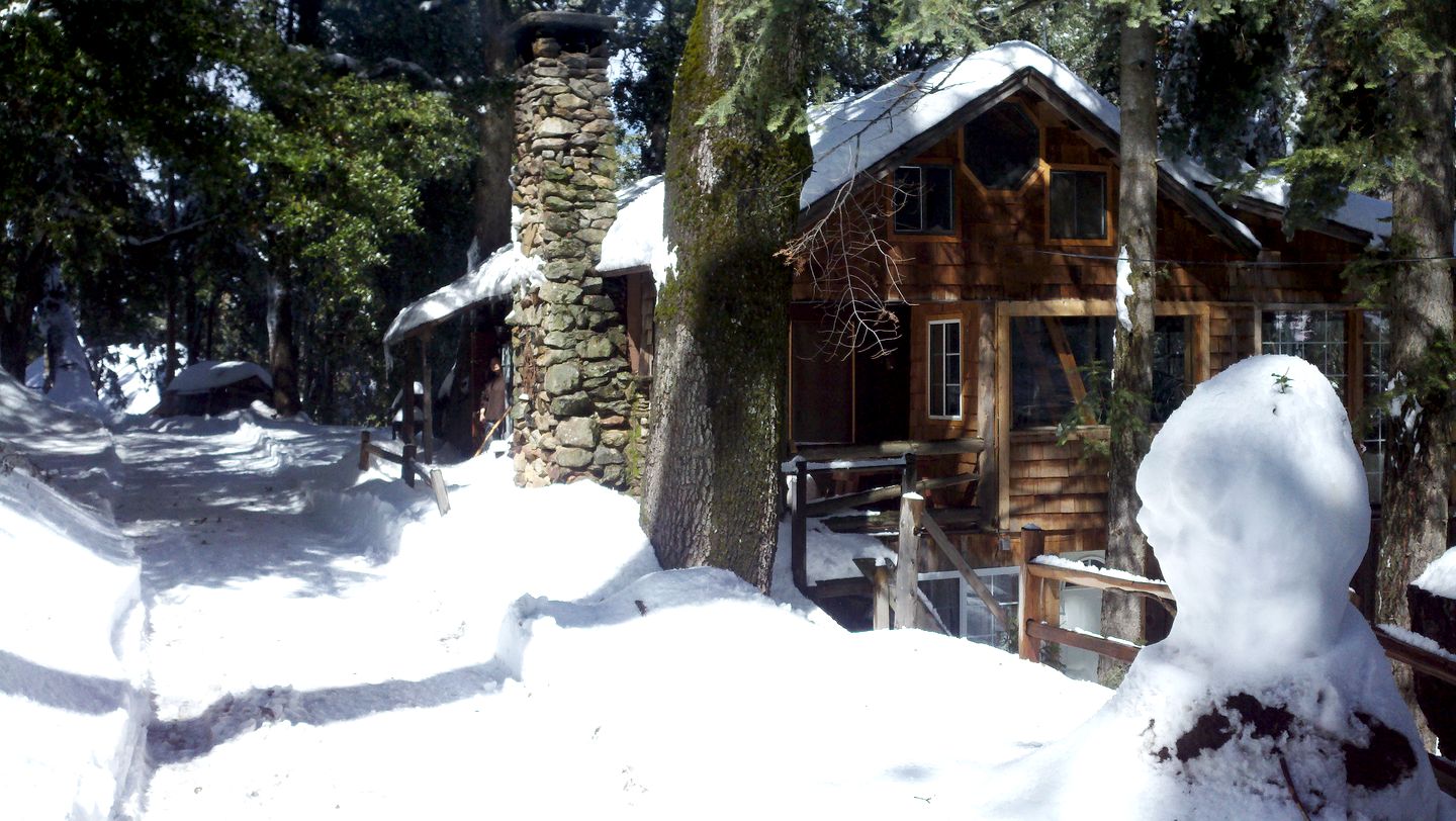 Historic Holiday Redwood Cabin in Palomar Mountain, California