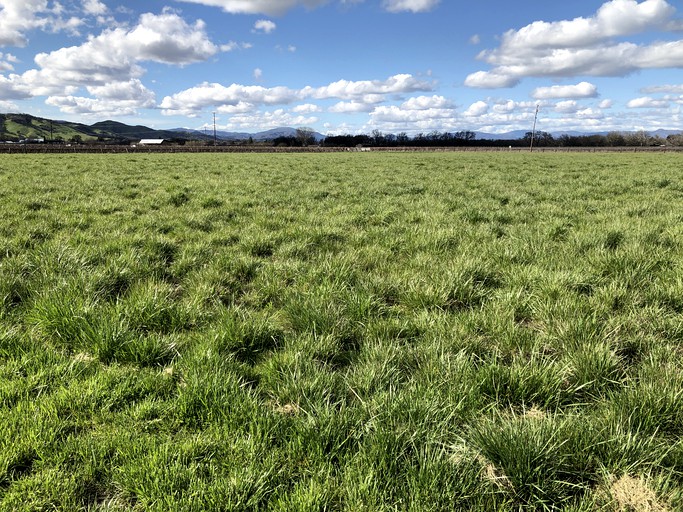 Cottages (Lakeport, California, United States)