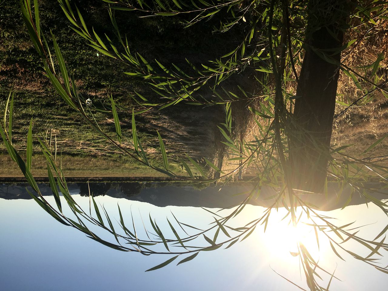 Luxury Chic Farm Cottage in Wine Country, California