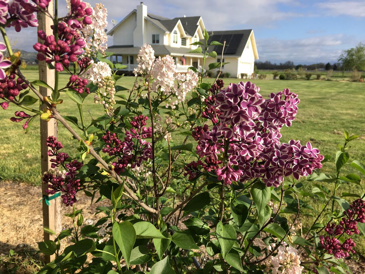 Luxury Chic Farm Cottage in Wine Country, California