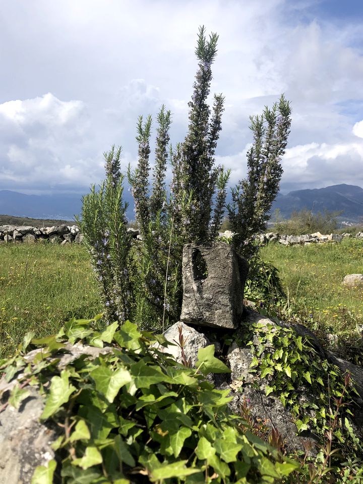 Eco-Friendly Tiny House with Views of the Adriatic Sea on Boka Bay, Montenegro