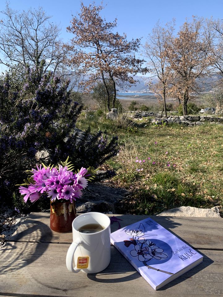 Eco-Friendly Tiny House with Views of the Adriatic Sea on Boka Bay, Montenegro