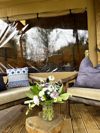 Safari Tents (France, Arnac, Occitanie)