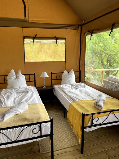 Safari Tents (France, Arnac, Occitanie)